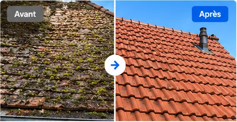 Illustration avant après de nettoyage de toiture